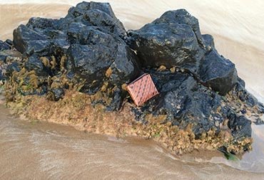 A NĀ KOA wallet and the ocean.  What could possibly go wrong? - NĀ KOA